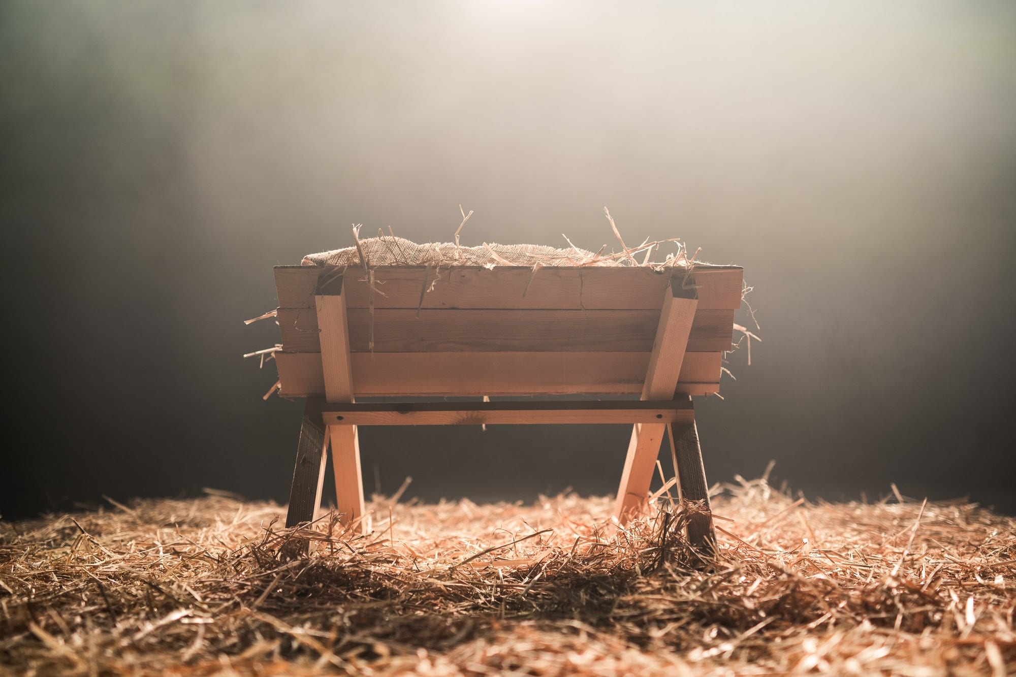 A manger surrounded in hay.